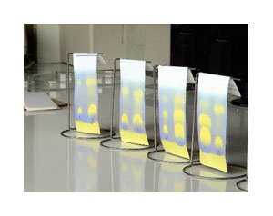 Set de cromatografie malolactica pe hartie